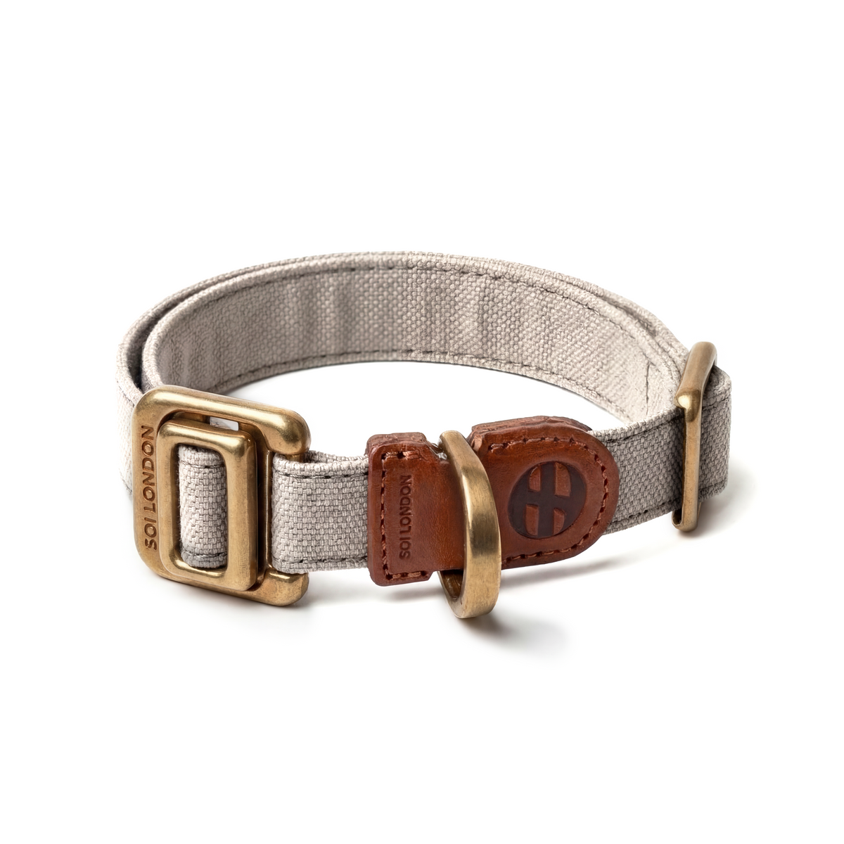 Regent Gray Slim Collar