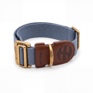 Tower Blue Wide Collar