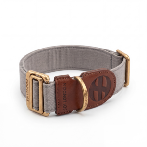 Regent Gray Wide Collar